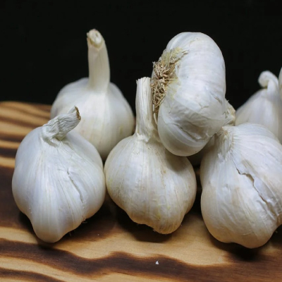 garlic