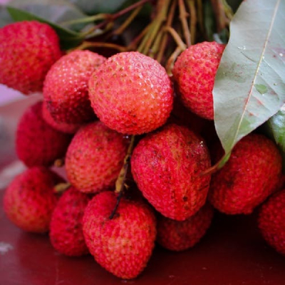 lychee