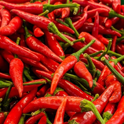 chili-pepper