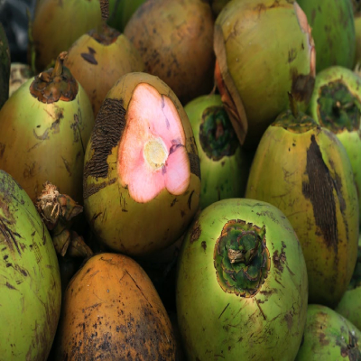 tender-coconut