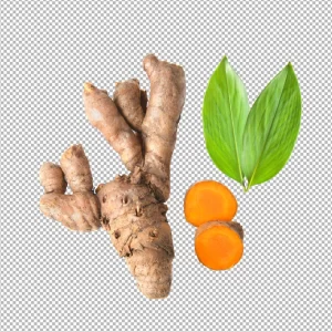 Fresh Turmeric