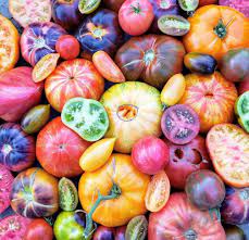 heirloom tomatoes