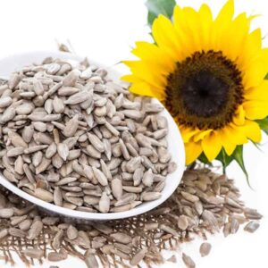 Sunflower seed