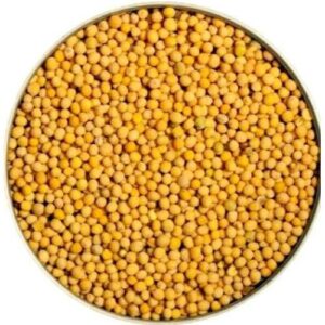 Yellow Mustard Seed